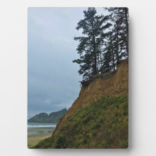 Placa Expositora Parque Estatal Oswald West, Costa de Oregón