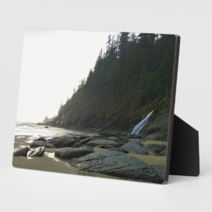 Placa Expositora Parque Estatal Oswald West, Costa de Oregón