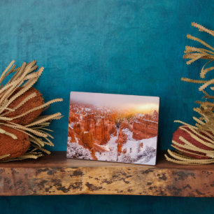 Placa Expositora Parque nacional del Cañón de Bryce