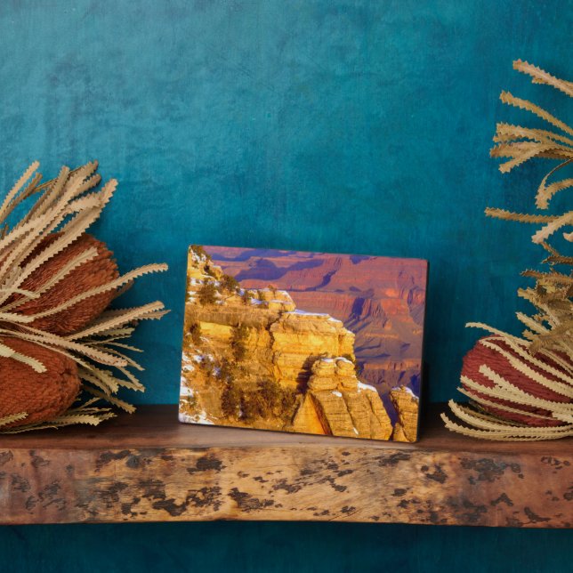 Placa Expositora Parque nacional del Gran Cañón en invierno (Lado)