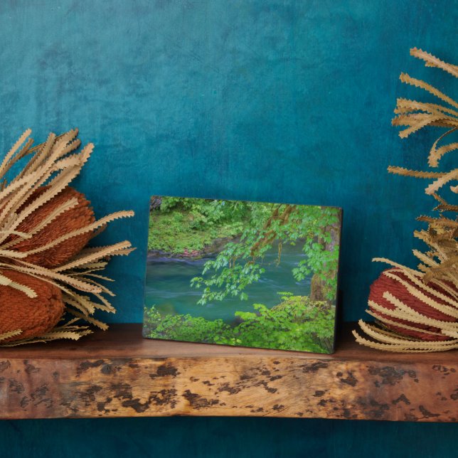 Placa Expositora Parque nacional olímpico Estado de Washington (Lado)