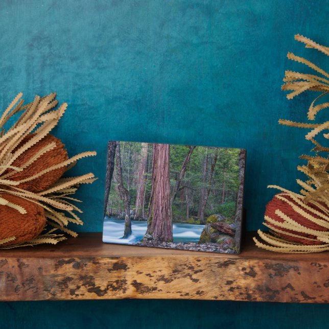 Placa Expositora Parque nacional Yosemite Sequoias & Merced River,  (Lado)