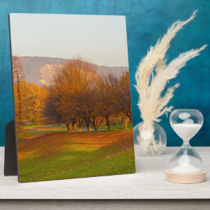 Placa Expositora Parque Rheinaue Plaque