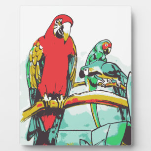 Placa Expositora Parrot Trio
