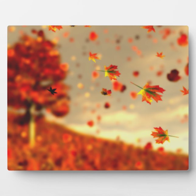 Placa Expositora Pasear por la Plaza de la Brisa de Octubre (Frente)