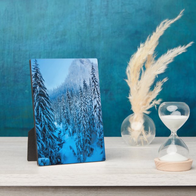 Placa Expositora Paso de Snoqualmie, Estado de Washington. (Lado)