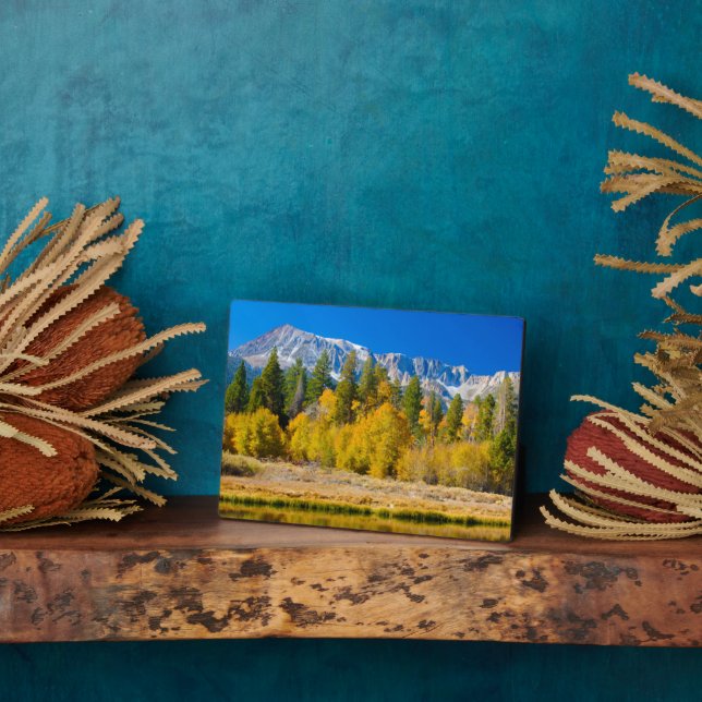 Placa Expositora Paso del Tioga en el Parque Nacional Yosemite (Lado)