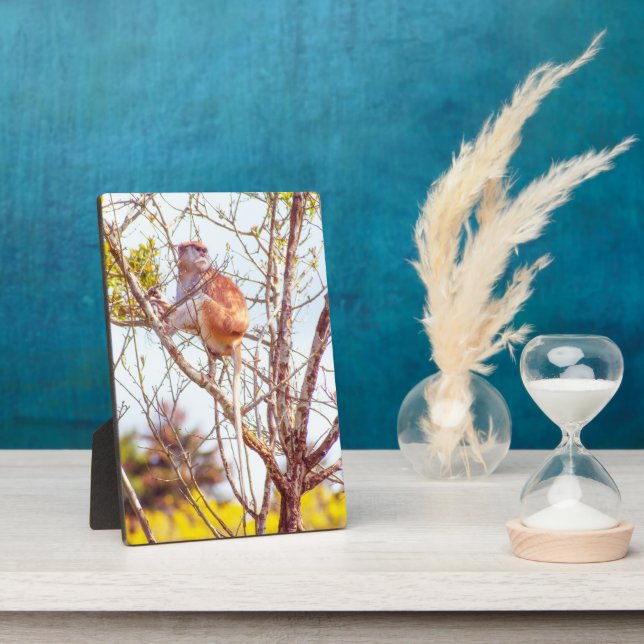 Placa Expositora Patas arriba un árbol (Lado)