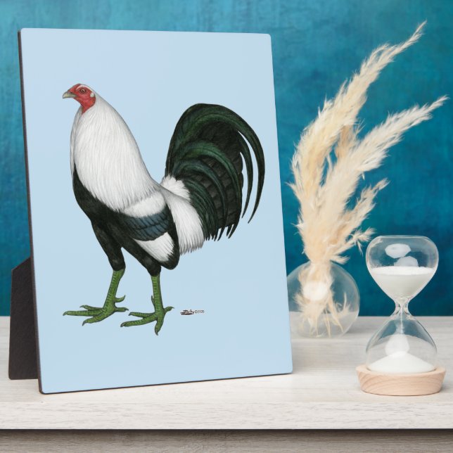 Placa Expositora Pato de plata gamecock (Lado)