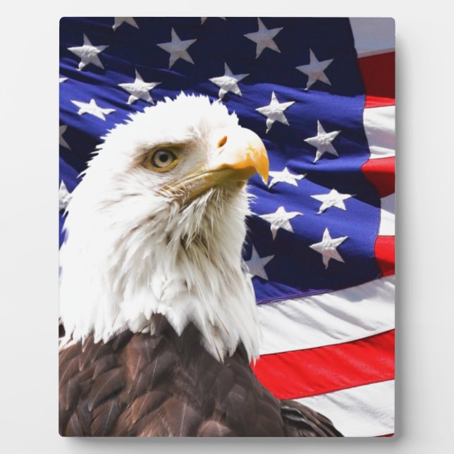 Placa Expositora Patriótico (Frente)