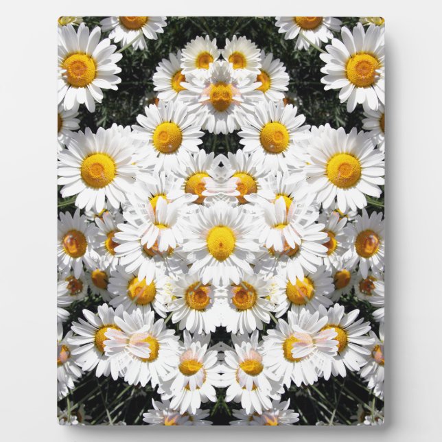 Placa Expositora Patrón de daisies Kaleidoscope (Frente)