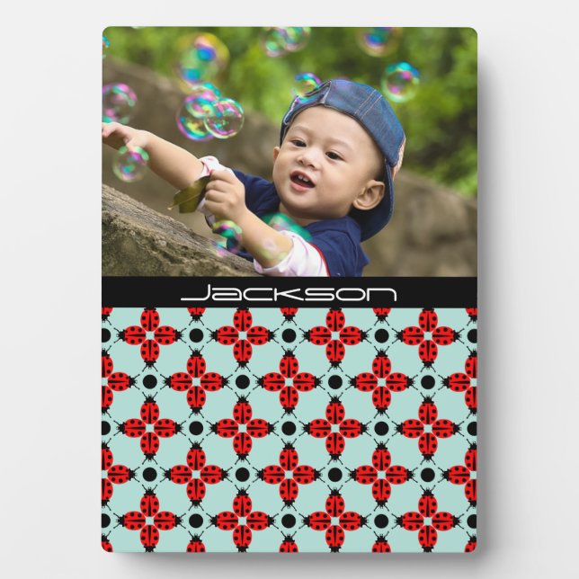 Placa Expositora Patrón de fallos (Frente)