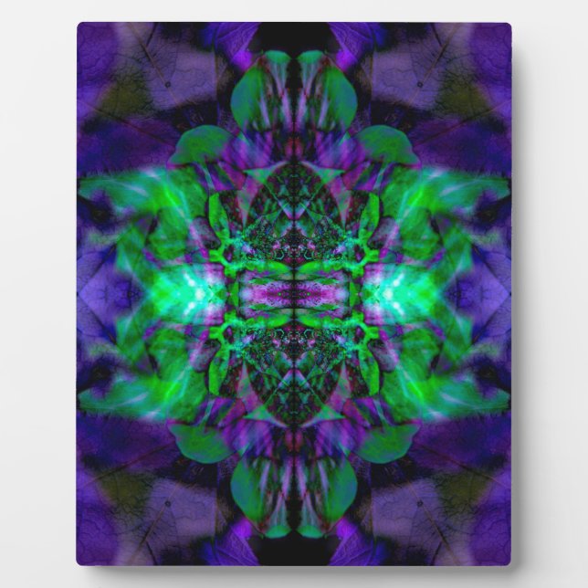 Placa Expositora Patrón de flores de Kaleidoscope (Frente)