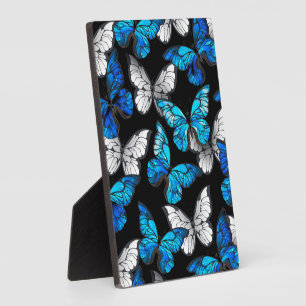 Placa Expositora Patrón oscuro sin foco con mariposas azules morfo