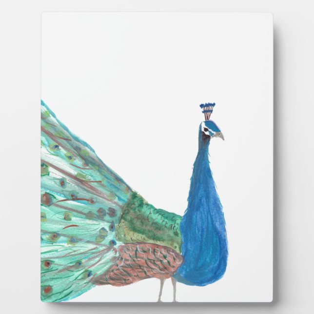Placa Expositora Peacock (Frente)