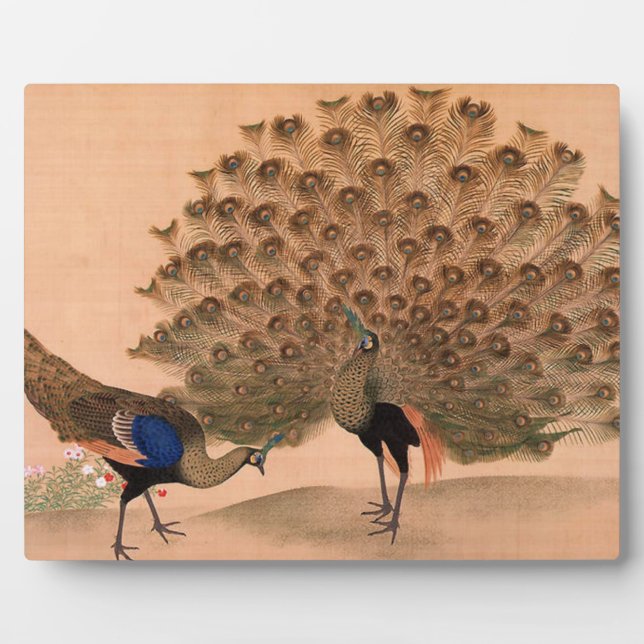 Placa Expositora Peacocks asiáticos de época (Frente)
