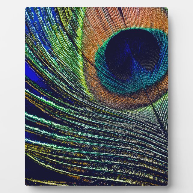 Placa Expositora Peacocok Feather Bohemian (Frente)