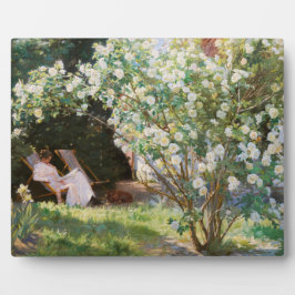 Placa Expositora Peder Severin Kroyer - Rosas