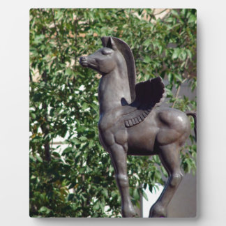Placa Expositora Pegasus en la plaza