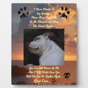 Placa Expositora Pensamientos de un Mascota querido