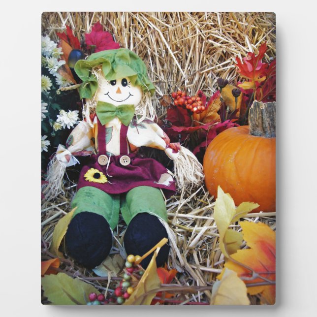 Placa Expositora Pequeña señorita Scarecrow (Frente)