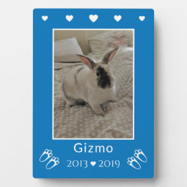 Placa Expositora Pérdida de conejo mascota infantil | Memorial de f