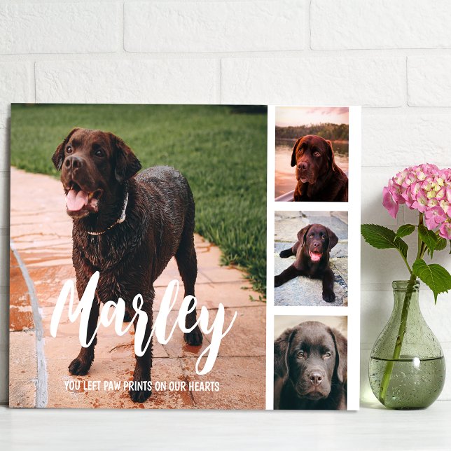 Placa Expositora Pérdida de Mascota: Collage de Fotos Personalizado (Subido por el creador)