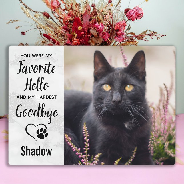 Placa Expositora Pérdida de Mascota en memoria del gato (Subido por el creador)