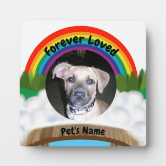 Placa Expositora Pérdida del mascota del puente arcoiris