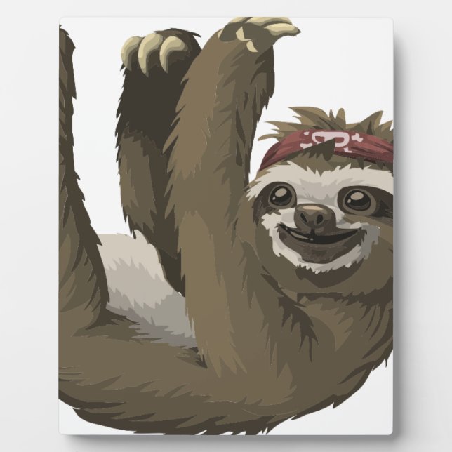 Placa Expositora perezoso cráneo (Frente)