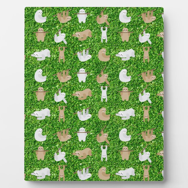 Placa Expositora perezosos (Frente)