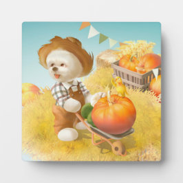 Placa Expositora Perro agricultor con calabaza