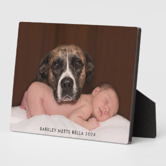 Placa Expositora Perro Conoce al Nuevo Bebé