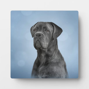 Placa Expositora Perro de dibujo Cane Corso - Mastiff italiano