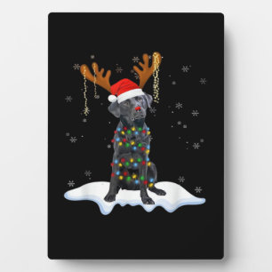 Placa Expositora Perro de pijama de luz de árbol de Navidad Labrado
