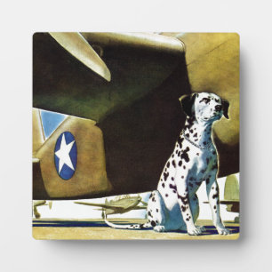 Placa Expositora Perro del ejército