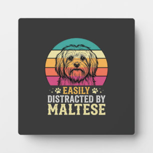 Placa Expositora Perro maltés distraído en puesta de sol retro