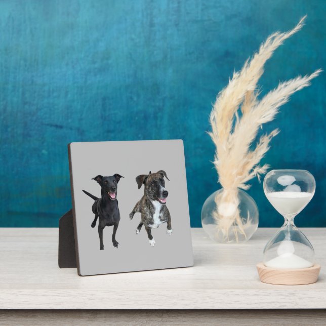 Placa Expositora Perros de Carlos (in situ)