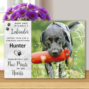 Placa Expositora Personalizado Foto Labrador Recuperador Memorial