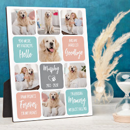 Placa Expositora Personalizado Mascota Perro Moda en memoria Pastel