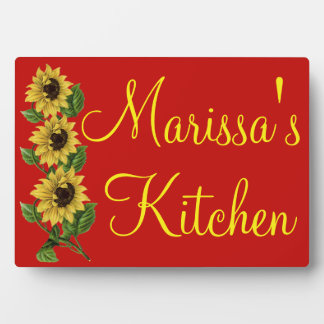 Placa Expositora Personalizado personalizada Cocina giratoria en pl