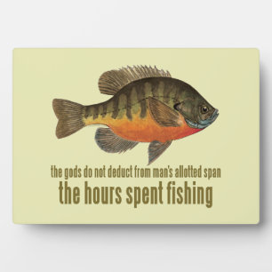 Placa Expositora Pesca de brea