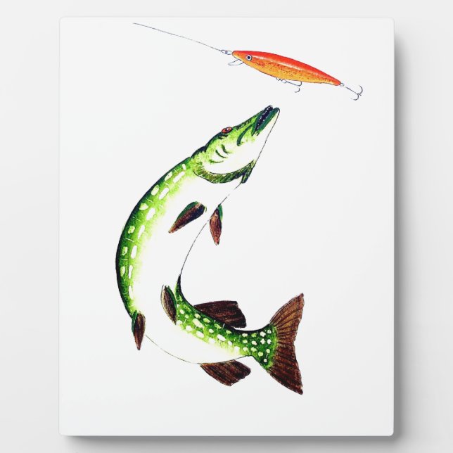 Placa Expositora Pesca de cerco y pesca con mosca (Frente)