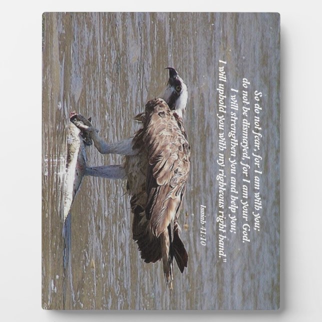 Placa Expositora Pescado Osprey Wildlife Isaiah Photo Plaque (Frente)