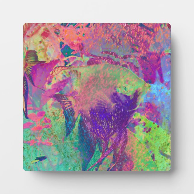 Placa Expositora Pescado psicodélico (Frente)