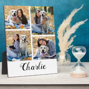 Placa Expositora Pet Lover Collage de fotos Perro Plaque