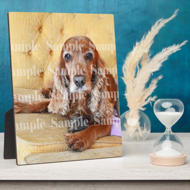 Placa Expositora Pet memorial photo PERSONALIZE (Lado)