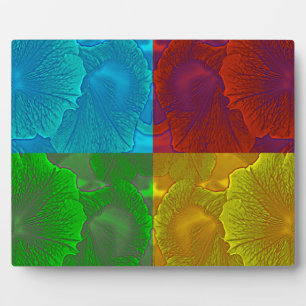 Placa Expositora Petunia Pop