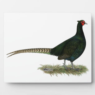 Placa Expositora Pheasant Black Roooster