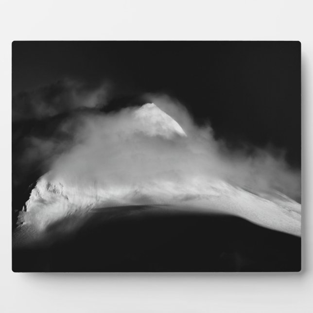 Placa Expositora Pico de Baird con cubierta (Frente)